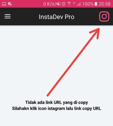 download instagram foto